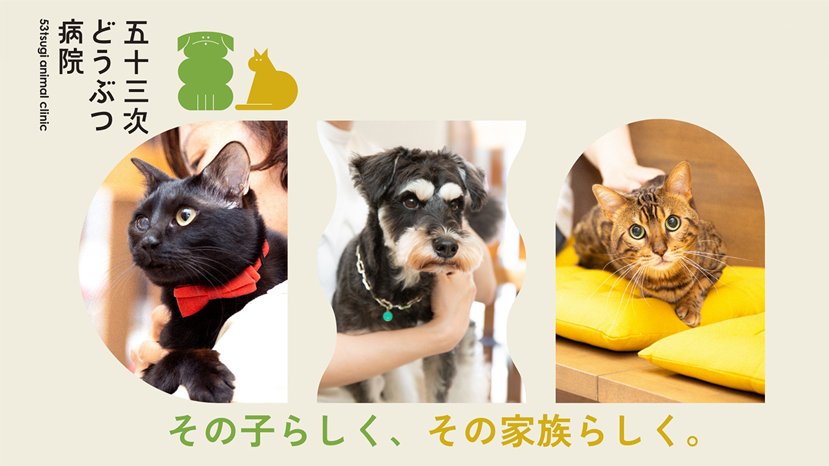 五十三次どうぶつ病院の外観